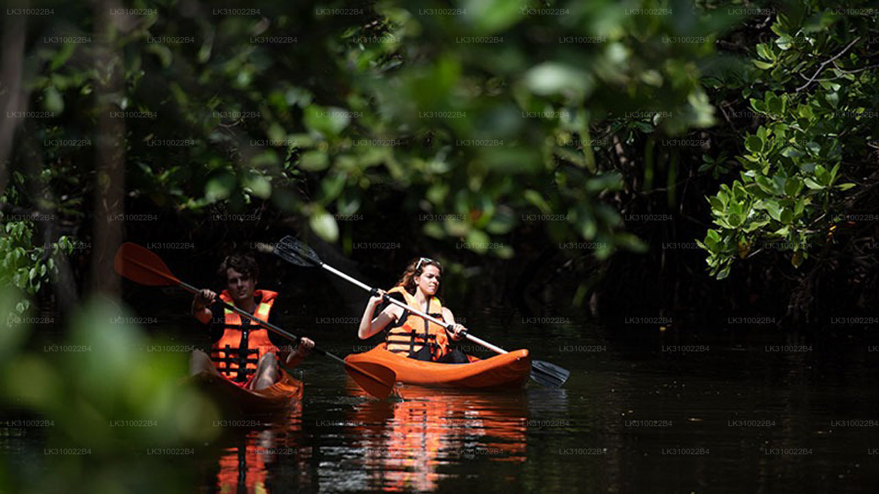 Kajakfahren auf flachem Wasser ab Kitulgala
