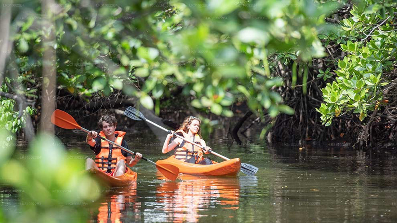 Kajakfahren auf flachem Wasser ab Kitulgala