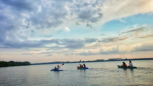 Kajaktour durch die Lagune ab Negombo