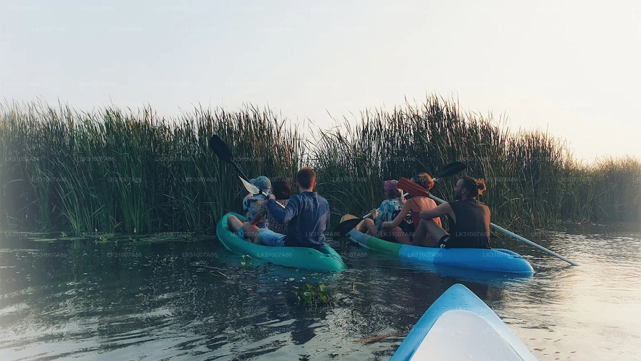 Kajaktour durch die Lagune ab Negombo