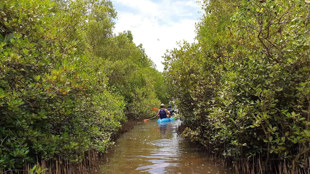 Kajaktour durch die Lagune ab Negombo