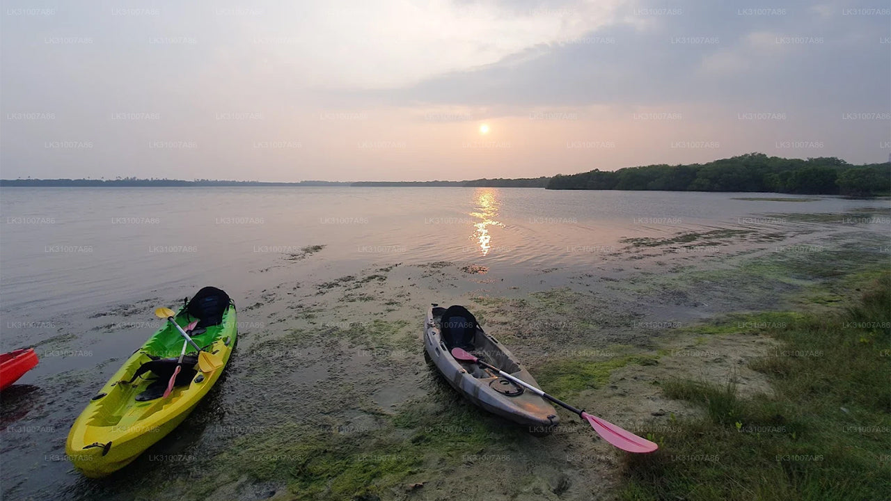 Kajaktour durch die Lagune ab Negombo