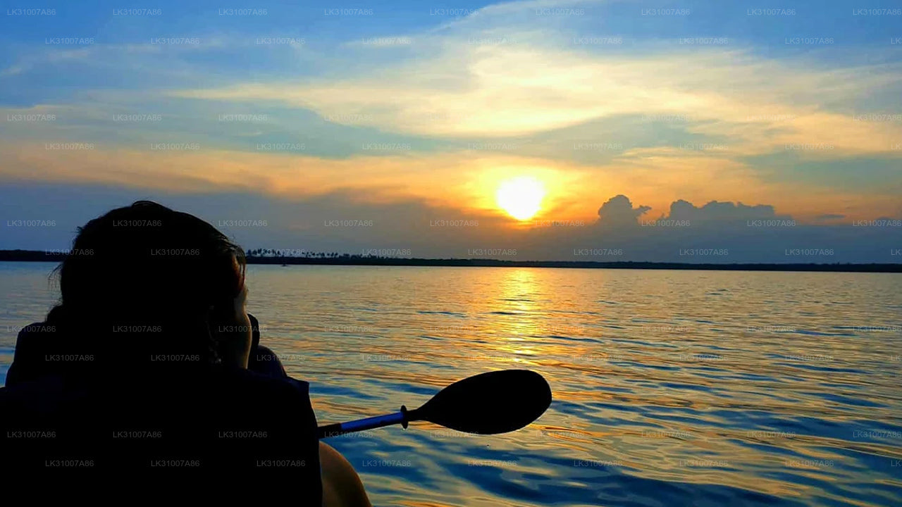 Kajaktour durch die Lagune ab Negombo