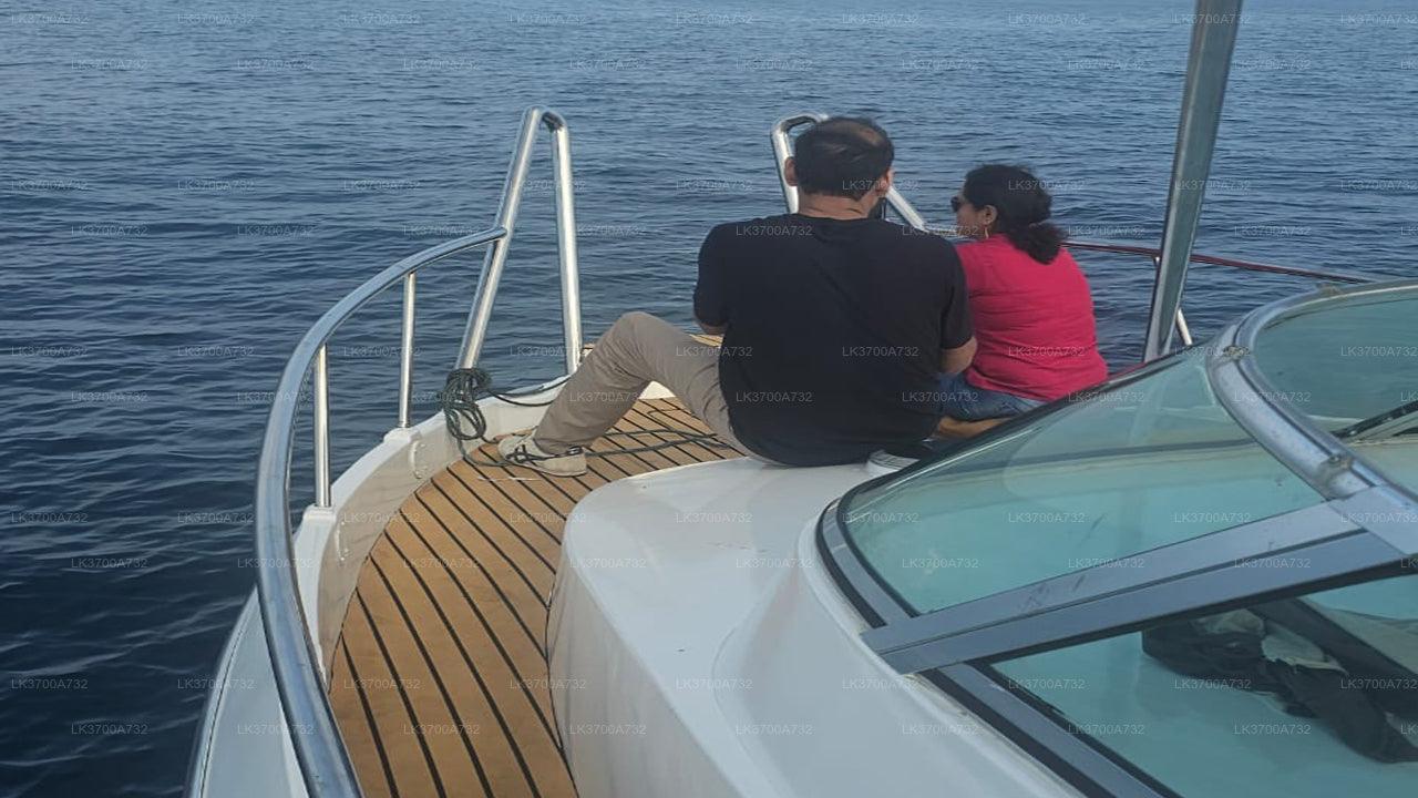 Private Walbeobachtungstour mit einem luxuriösen Schnellboot ab Mirissa