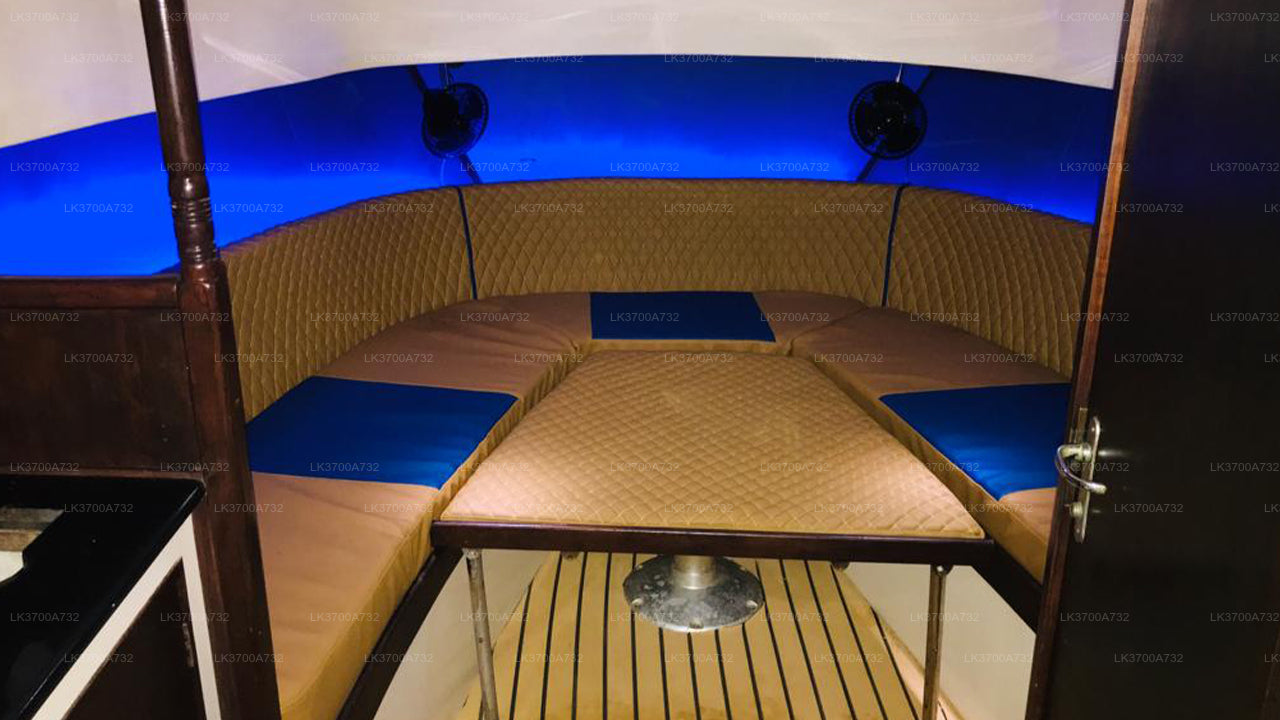 Private Walbeobachtungstour mit einem luxuriösen Schnellboot ab Mirissa