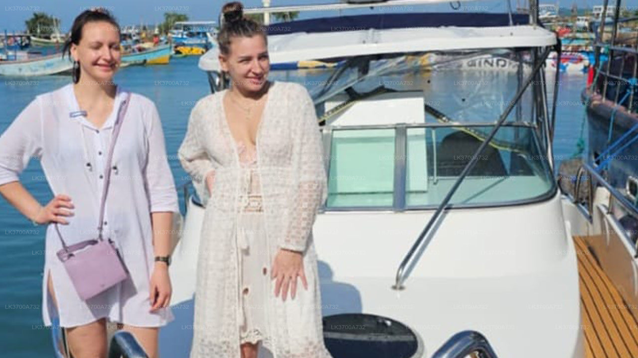 Private Walbeobachtungstour mit einem luxuriösen Schnellboot ab Mirissa