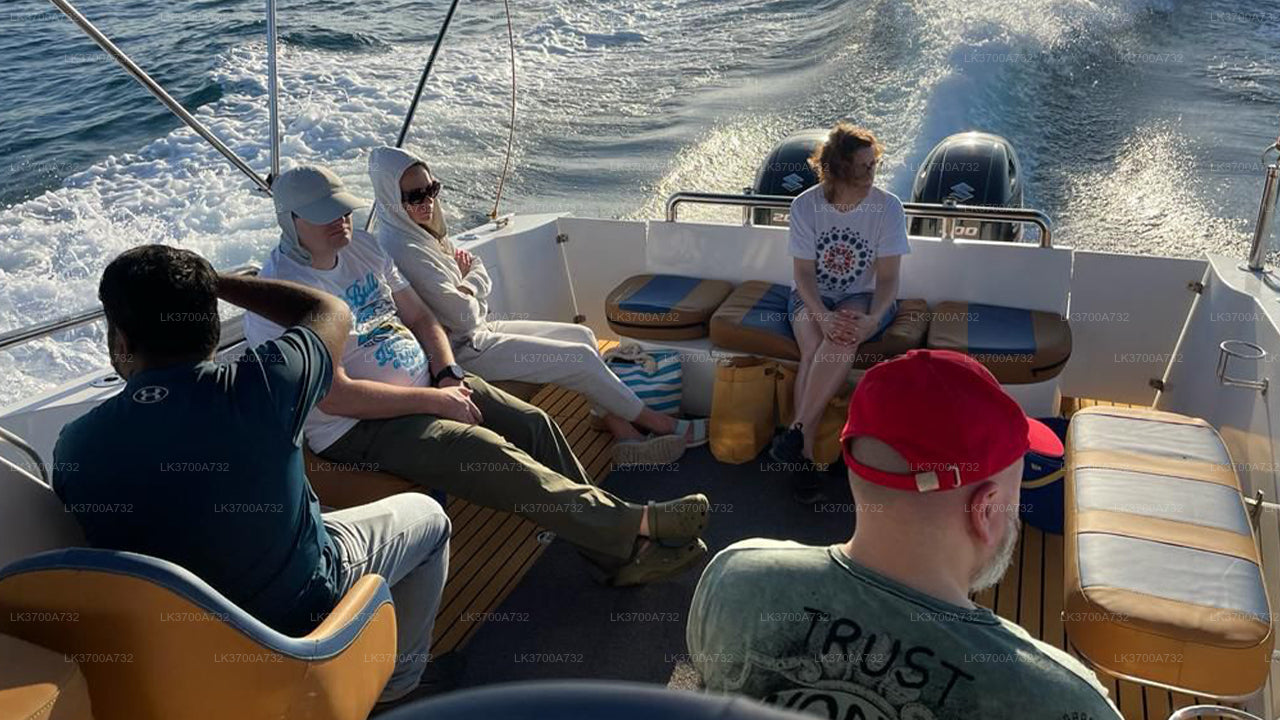 Private Walbeobachtungstour mit einem luxuriösen Schnellboot ab Mirissa