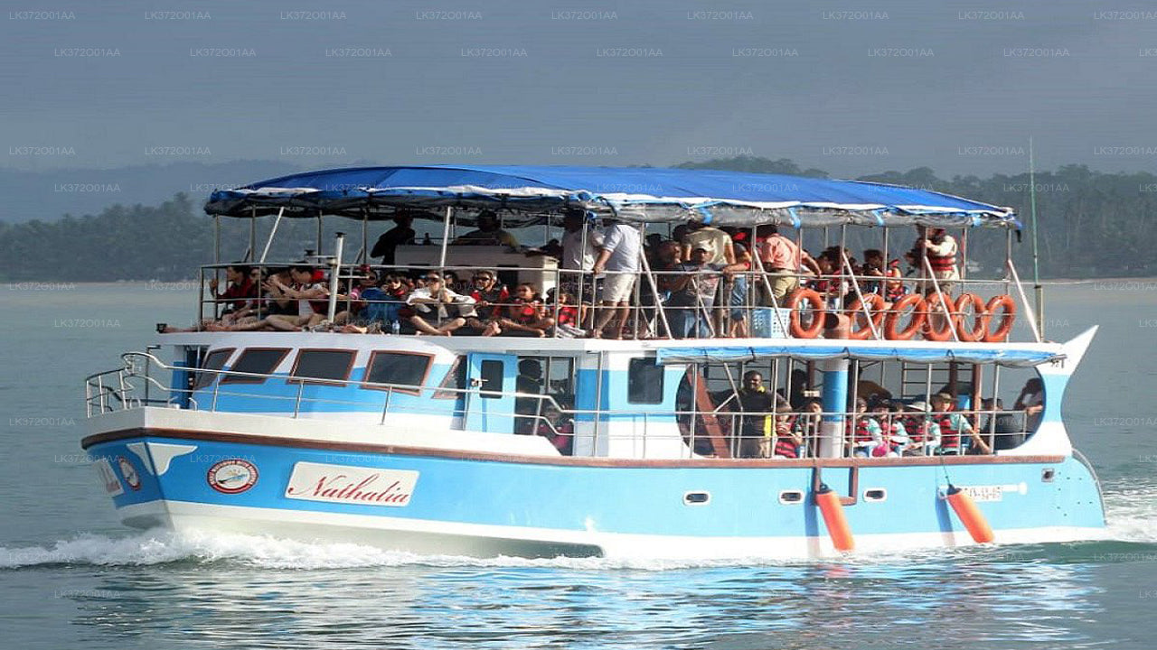 Walbeobachtung ab Hikkaduwa auf einem Gemeinschaftsboot