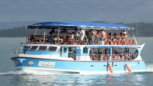 Walbeobachtung ab Hikkaduwa auf einem Gemeinschaftsboot