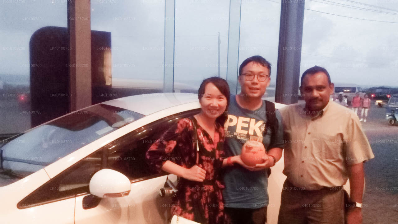 Privater Transfer von Yala City zum Flughafen Colombo (CMB)