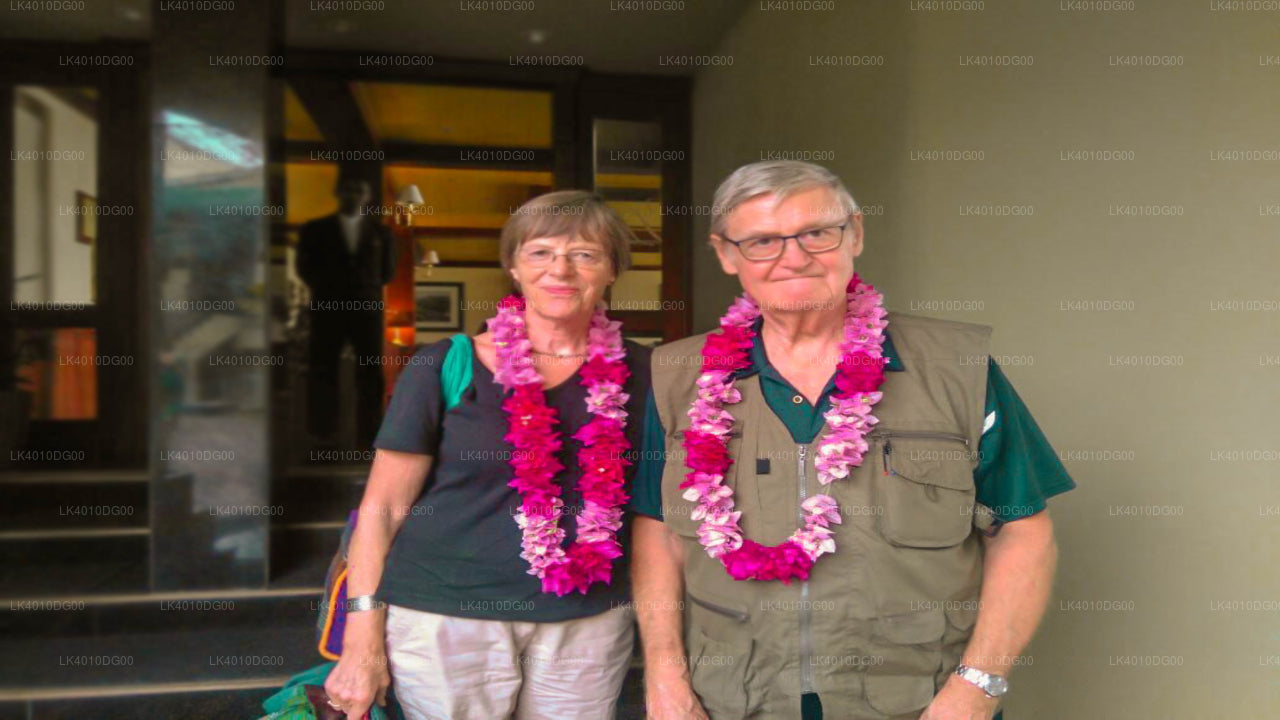 Privater Transfer von Wellawatte City zum Flughafen Colombo (CMB)