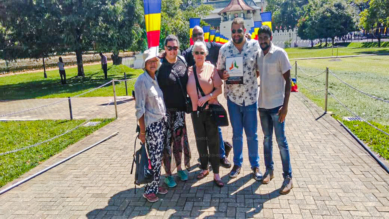 Privater Transfer von Rekawa City zum Flughafen Colombo (CMB)