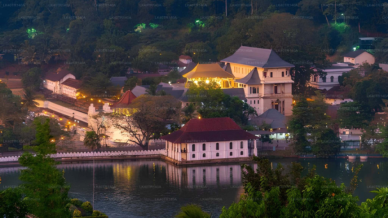 Von Ella nach Kandy: Eine malerische Reise mit Zug und Auto oder Van