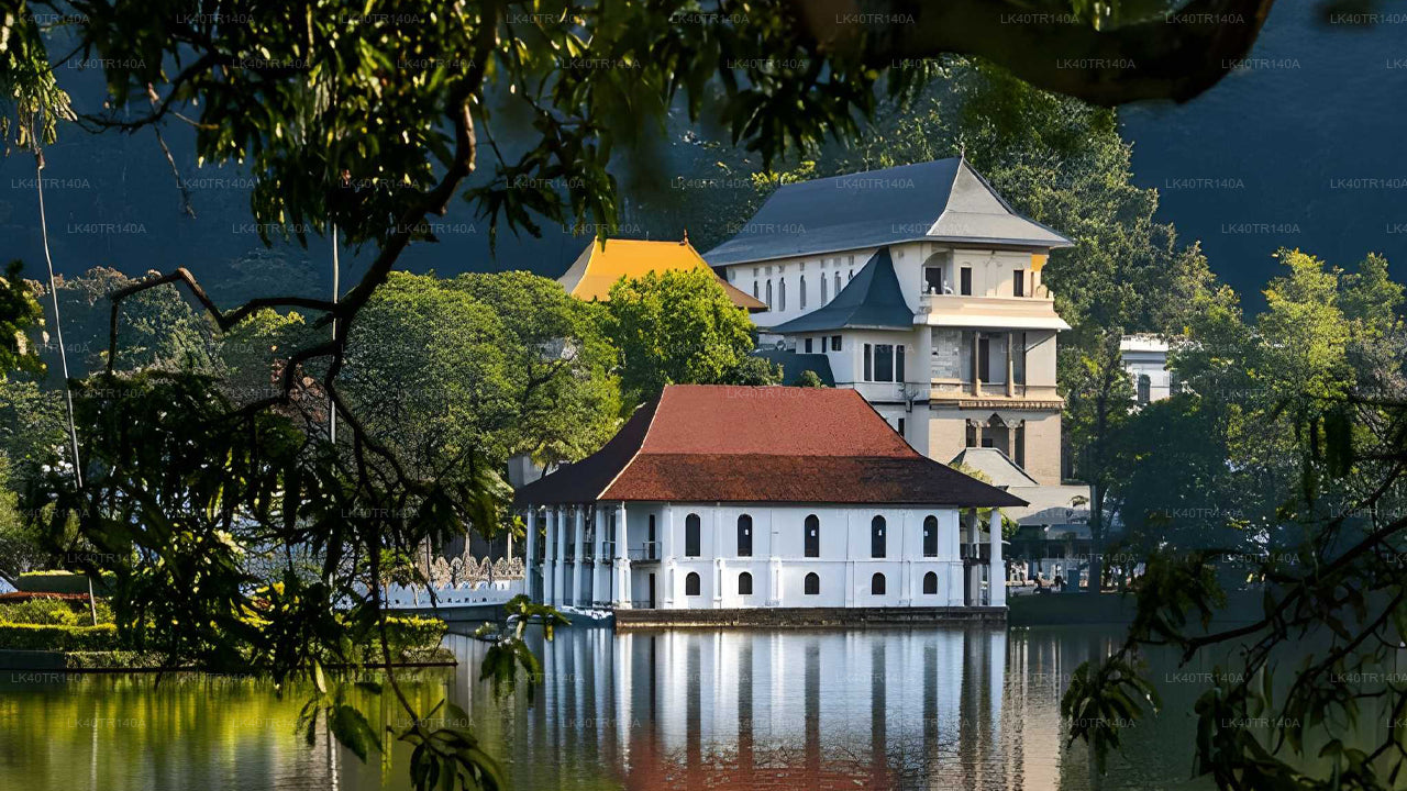 Von Ella nach Kandy: Eine malerische Reise mit Zug und Auto oder Van