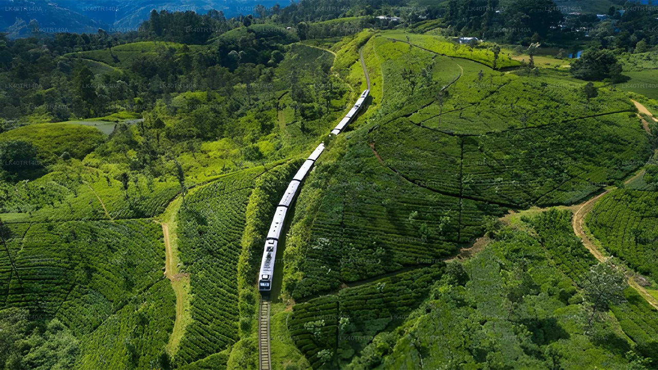 Von Ella nach Kandy: Eine malerische Reise mit Zug und Auto oder Van