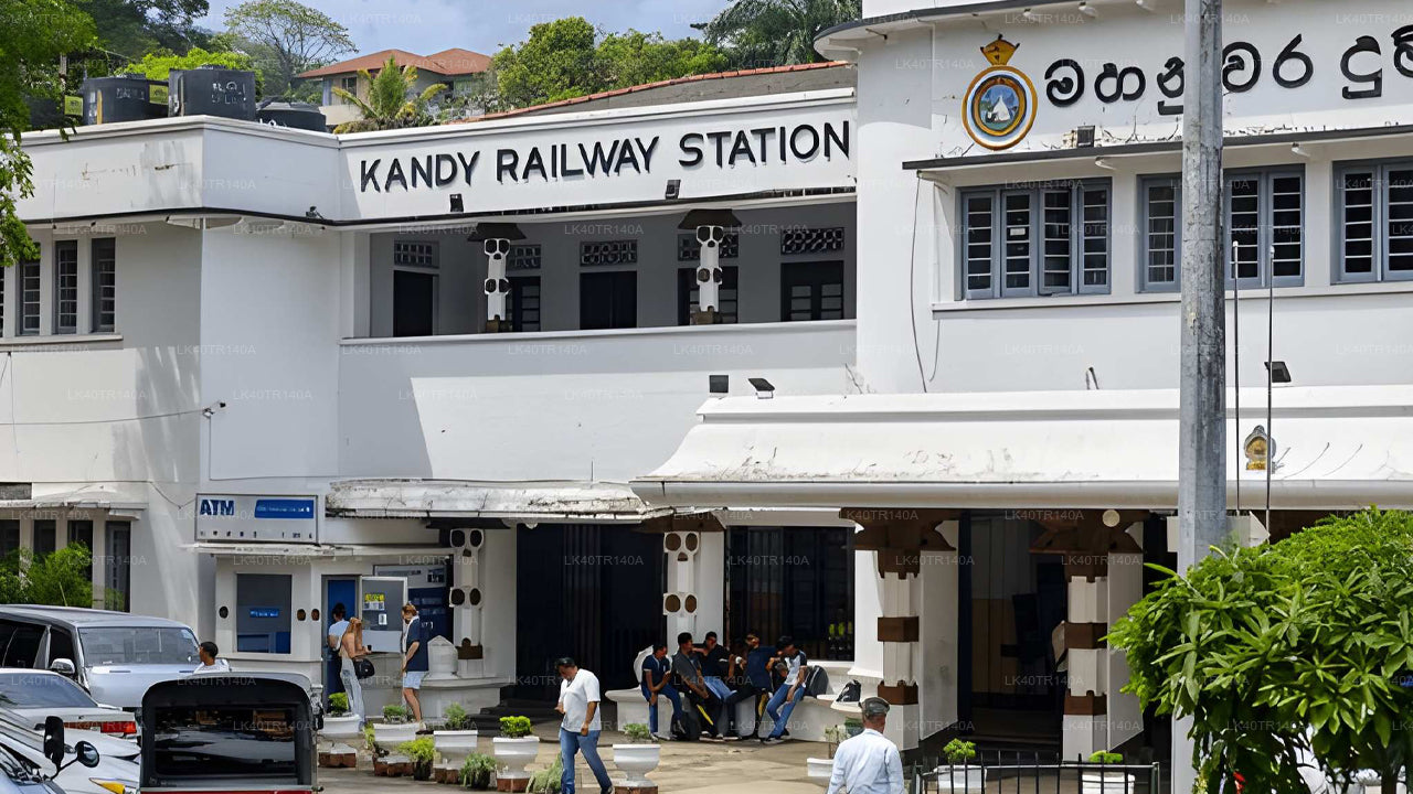 Von Kandy nach Ella: Eine malerische Reise mit Zug und Auto oder Van