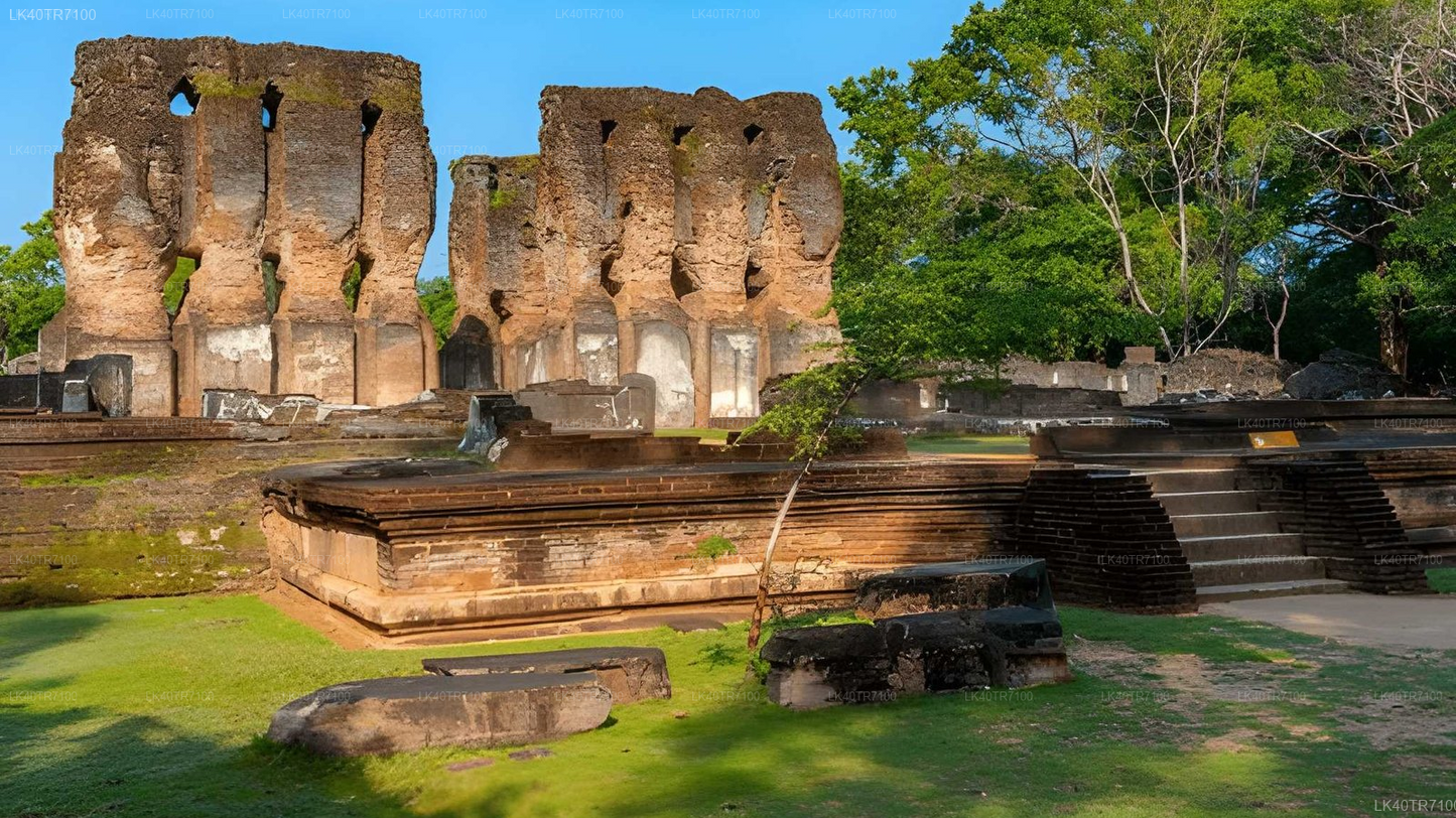 Polonnaruwa and Wasgamuwa Wildlife Safari from Pasikuda