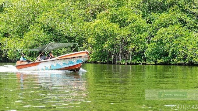 Coastal Transfer from Colombo to Mirissa with Sightseeing Stops