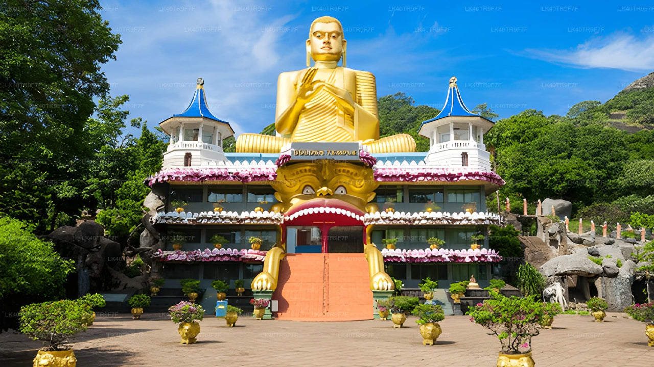 Privater Transfer von Colombo nach Sigiriya mit Sightseeing-Stopps