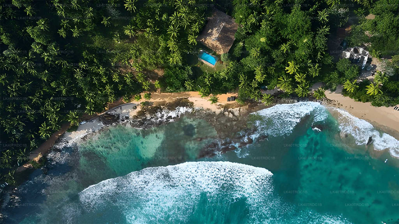 Privater Transfer von Negombo nach Hiriketiya mit Besichtigungsstopps