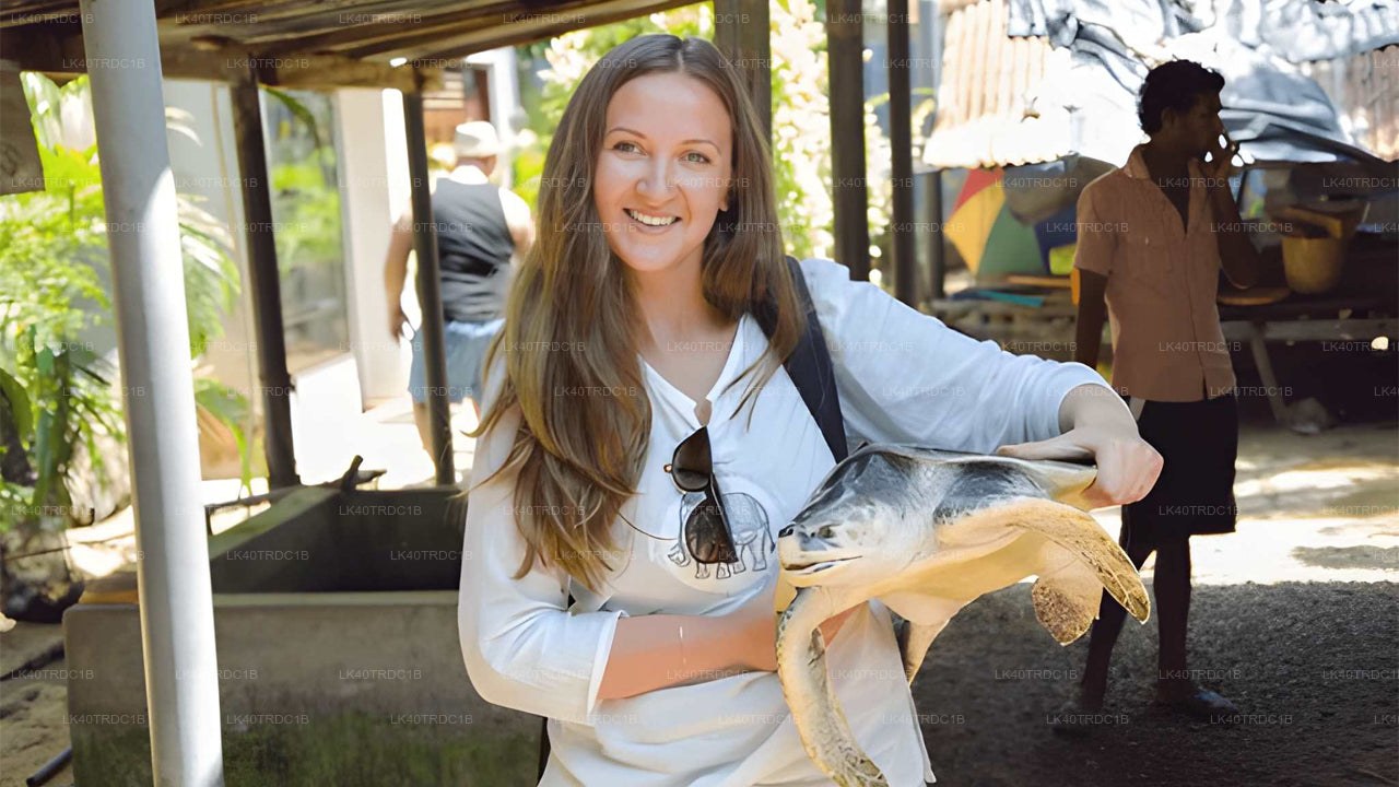 Privater Transfer von Negombo nach Hiriketiya mit Besichtigungsstopps