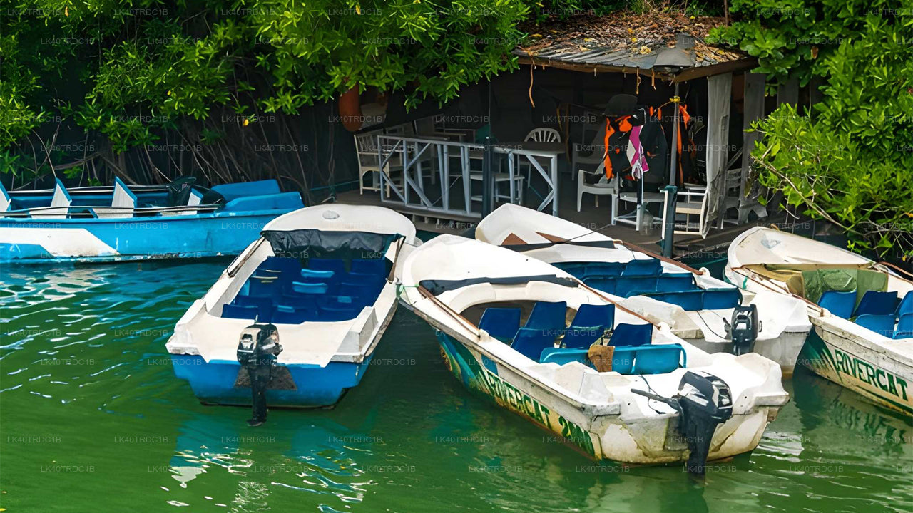 Privater Transfer von Negombo nach Hiriketiya mit Besichtigungsstopps