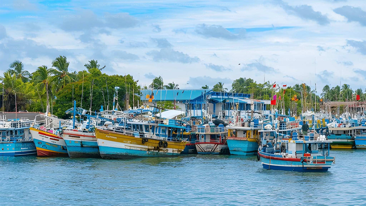 Privater Transfer von Negombo nach Hiriketiya mit Besichtigungsstopps