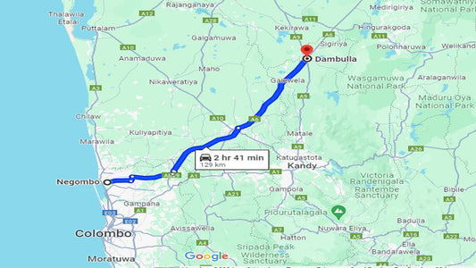 Privater Transfer von Dambulla nach Negombo