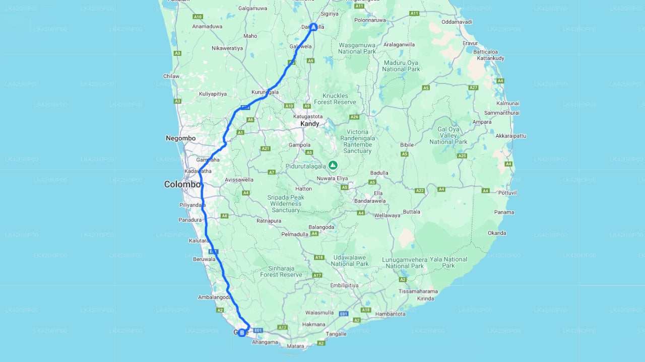 Privater Transfer von Dambulla nach Galle