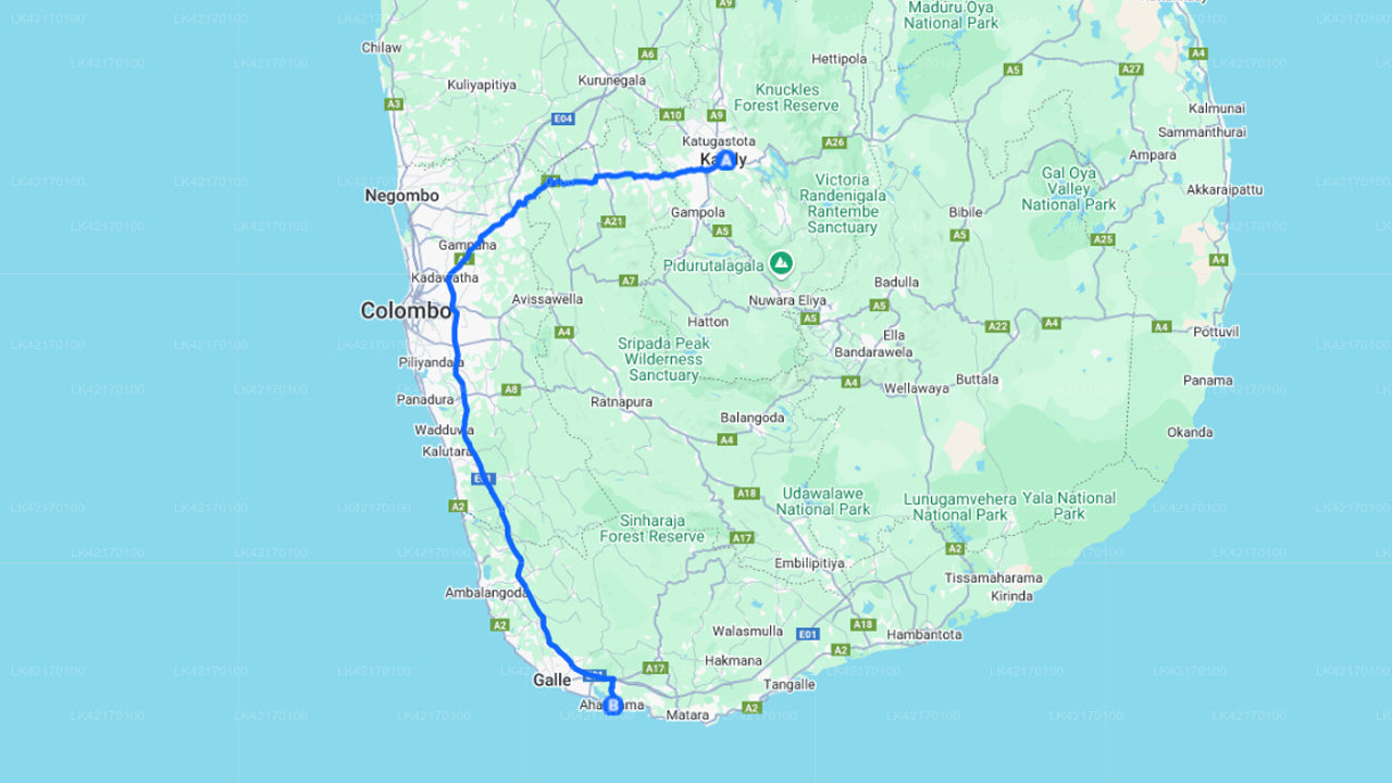 Privater Transfer von Kandy City nach Ahangama City