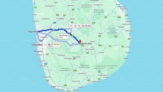 Privater Transfer von Negombo City nach Nuwara Eliya City