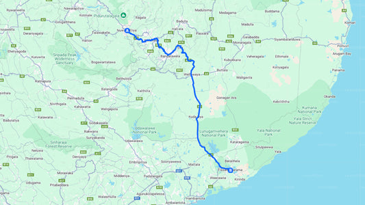 Privater Transfer von Nuwara Eliya City nach Tissamaharama City