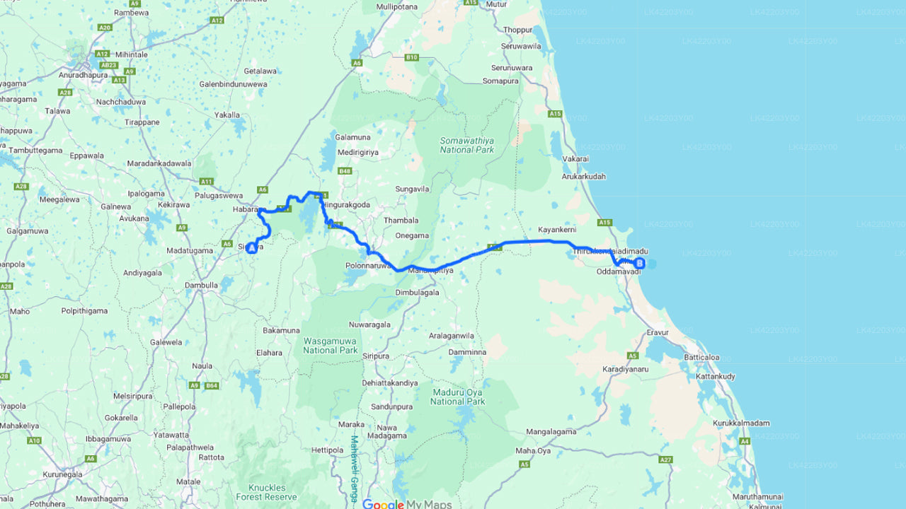 Privater Transfer von Sigiriya City nach Pasikuda City