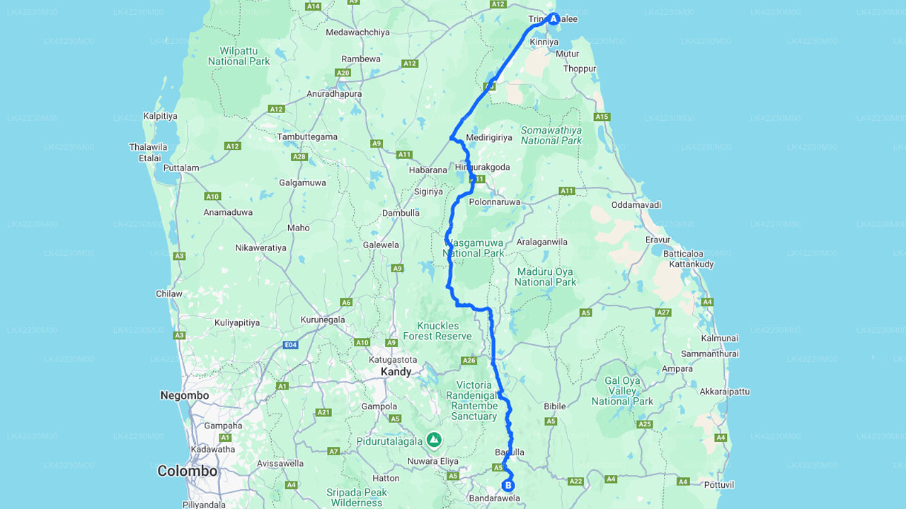 Privater Transfer von Trincomalee nach Ella