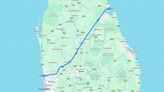 Privater Transfer von Colombo City nach Negombo City