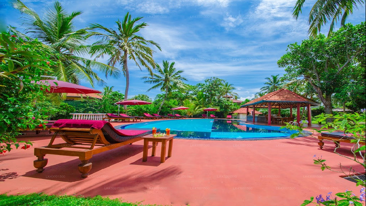 Korallengärten, Hikkaduwa 