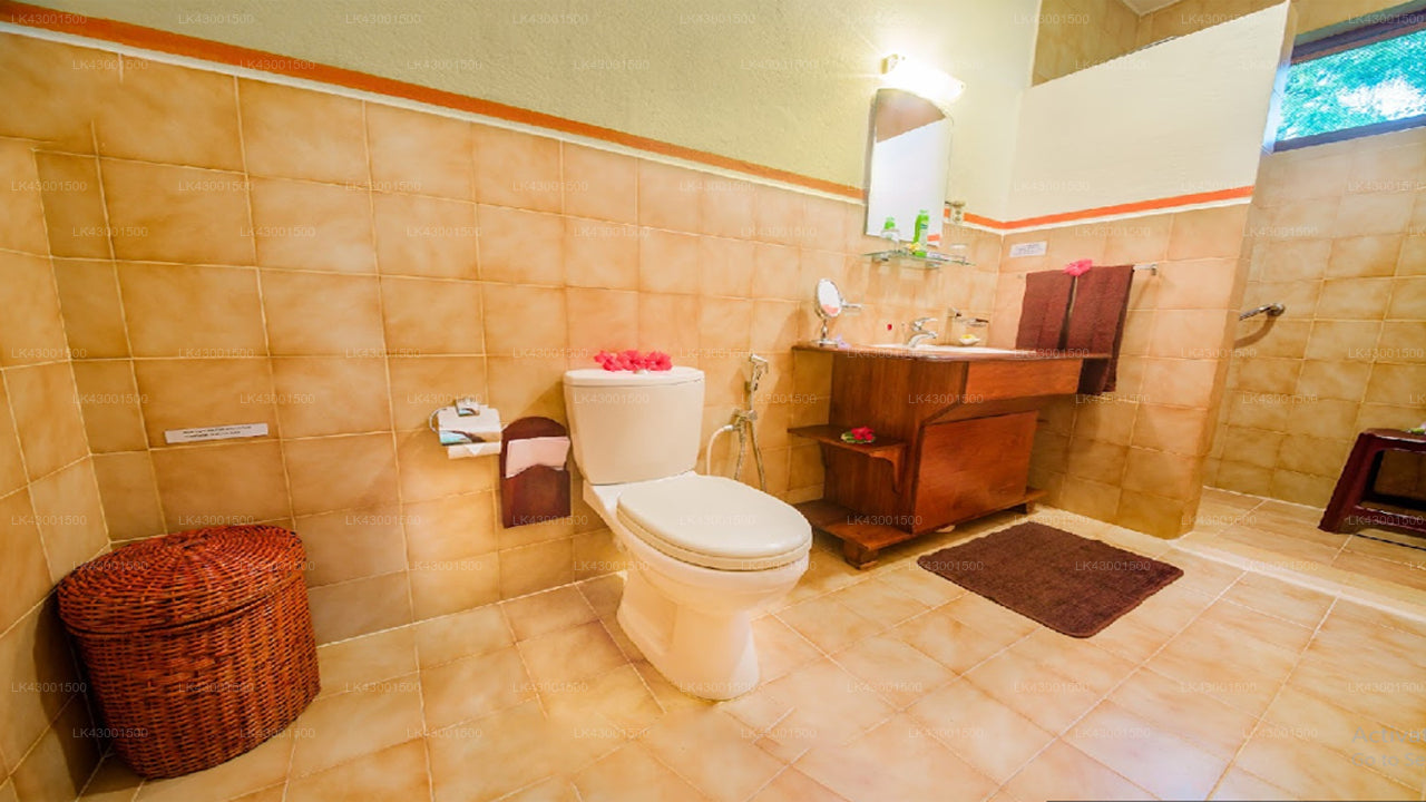 Korallengärten, Hikkaduwa 