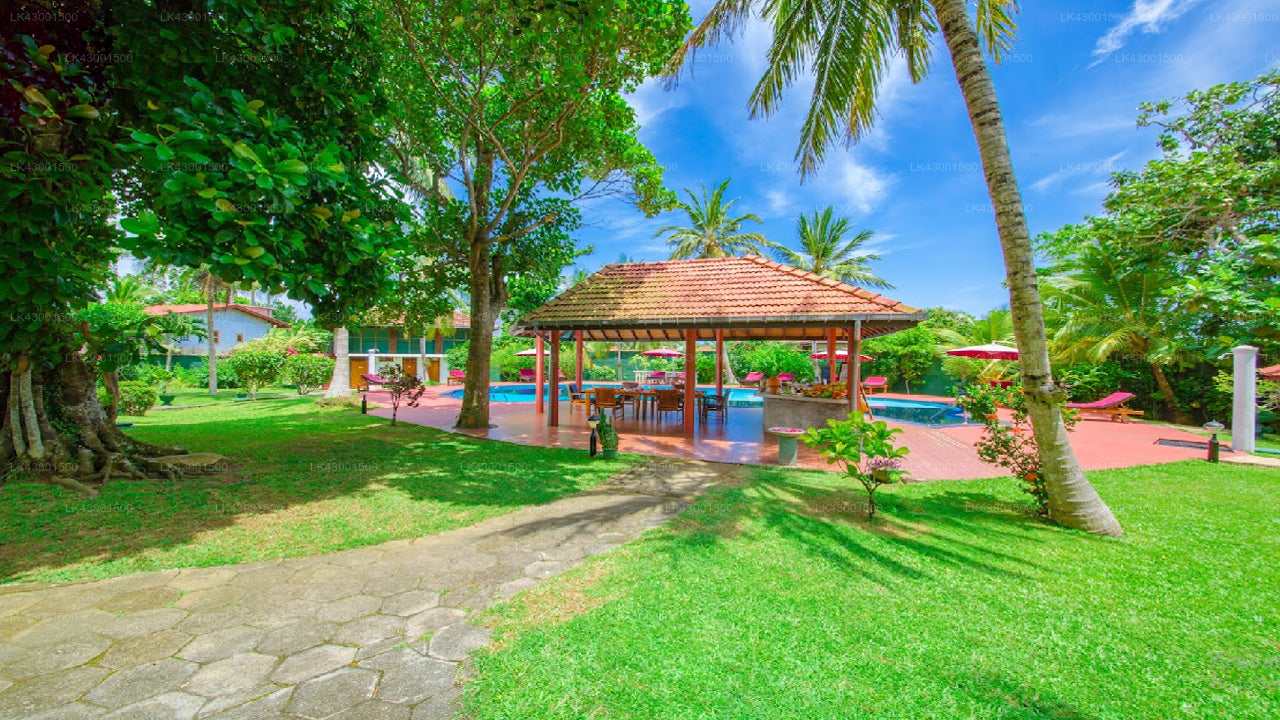 Korallengärten, Hikkaduwa 