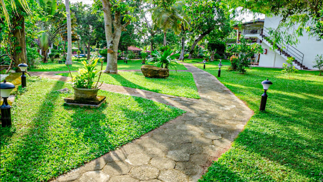 Korallengärten, Hikkaduwa 