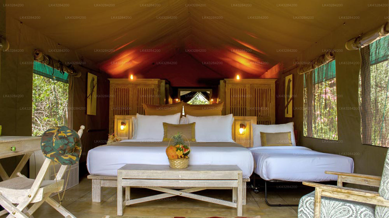 Flameback Eco Lodge, Weerawila 