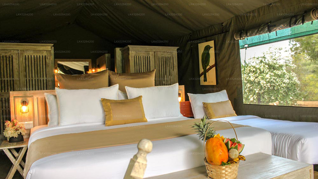 Flameback Eco Lodge, Weerawila 