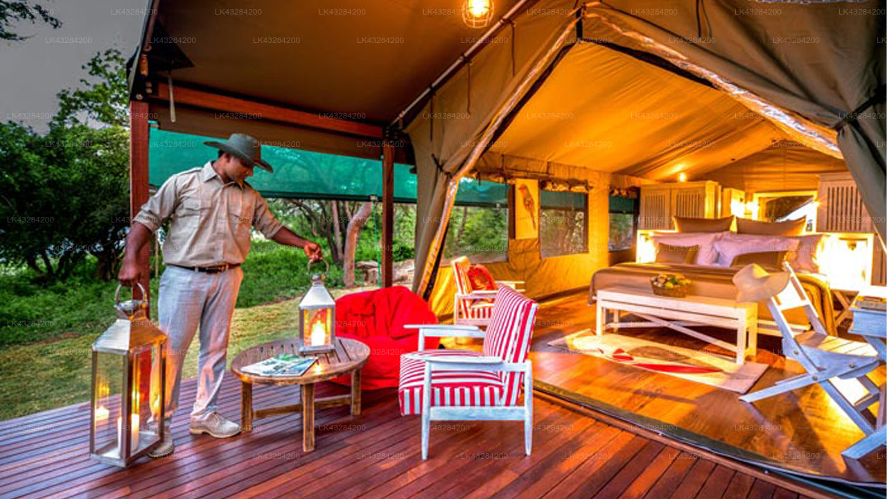 Flameback Eco Lodge, Weerawila 