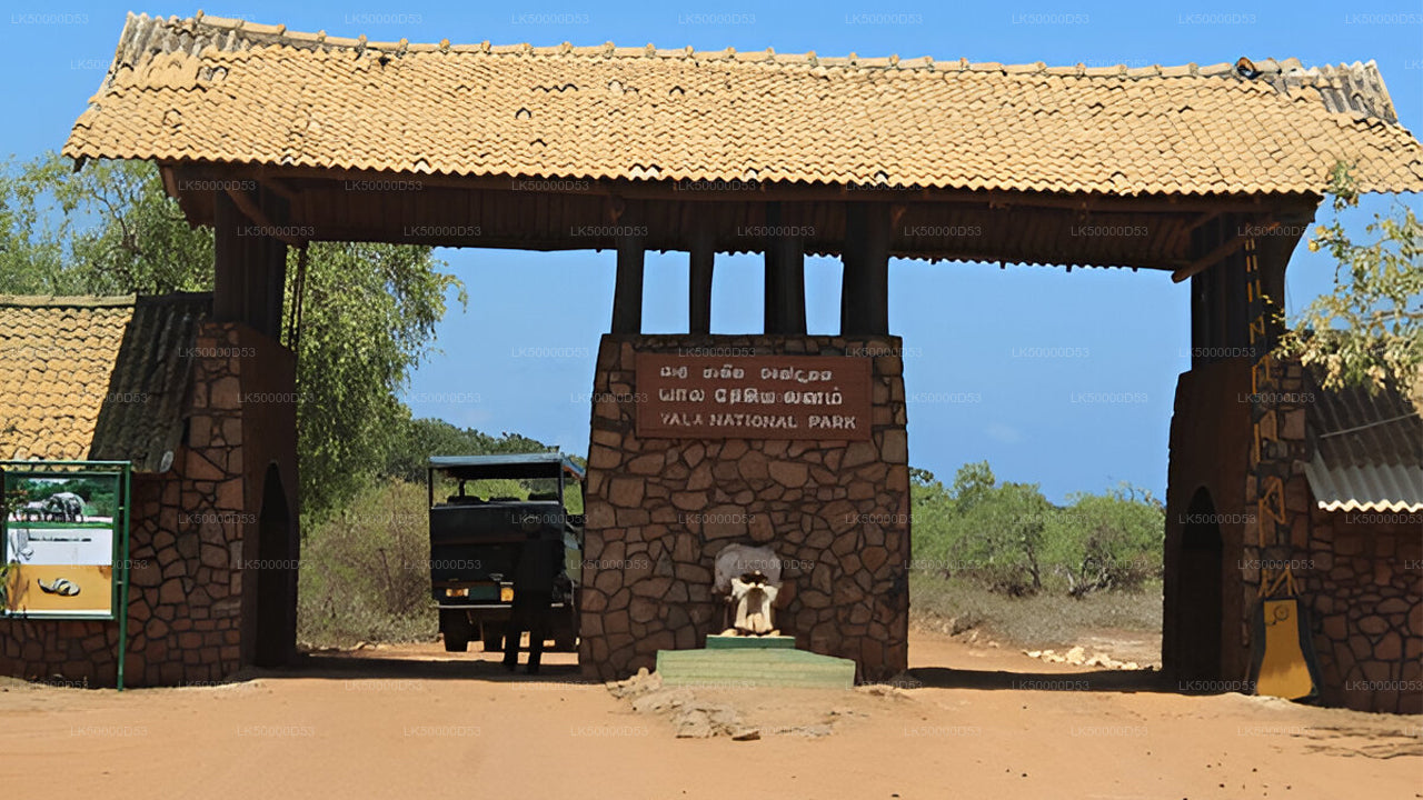 Private Tour von Hiriketiya nach Ella mit Yala-Safari