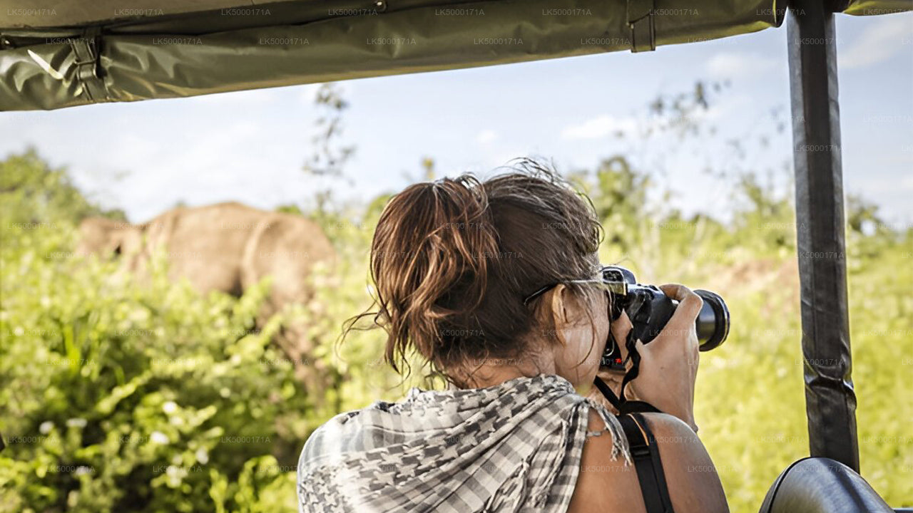 Private Tour von Ella nach Tangalle mit Udawalawe Safari
