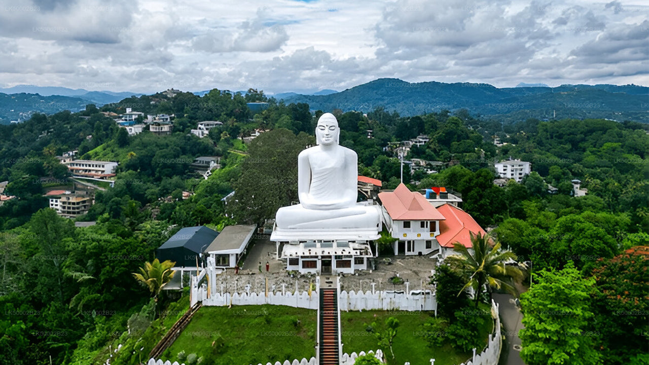 Private Tour von Polonnaruwa nach Kandy mit Wasgamuwa-Safari