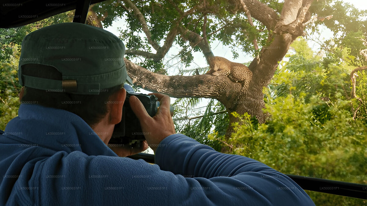 Private Tour von Ella nach Unawatuna mit Yala-Safari