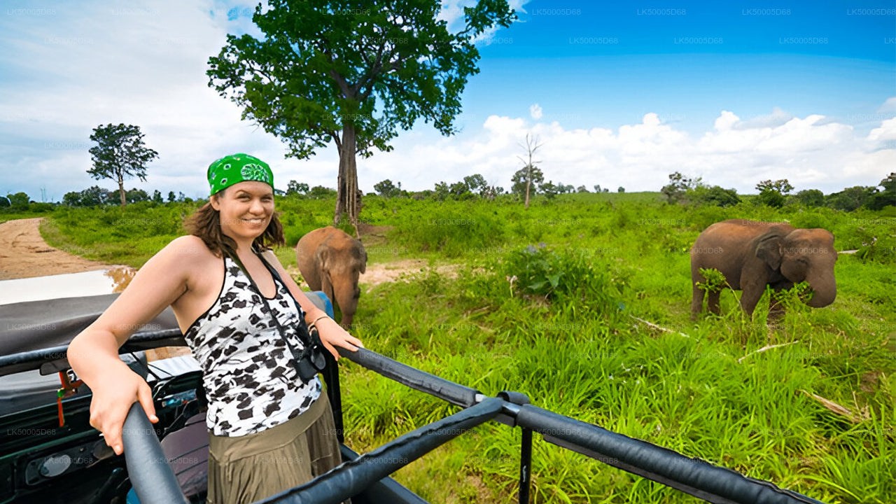 Private Tour von Hiriketiya nach Ella mit Udawalawe-Safari