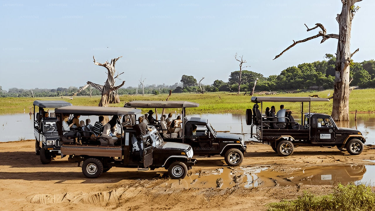 Private Tour von Hiriketiya nach Ella mit Udawalawe-Safari
