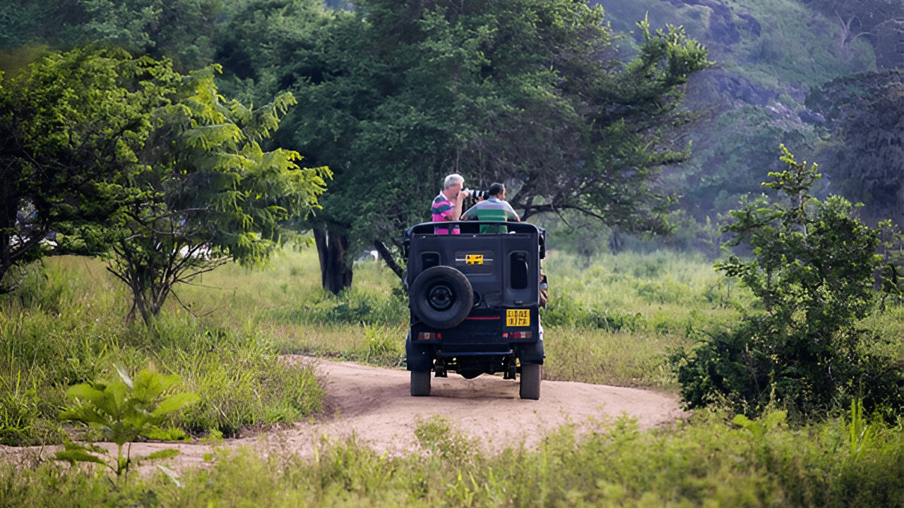 Ethische Safari im Yala-Nationalpark (Block 5)