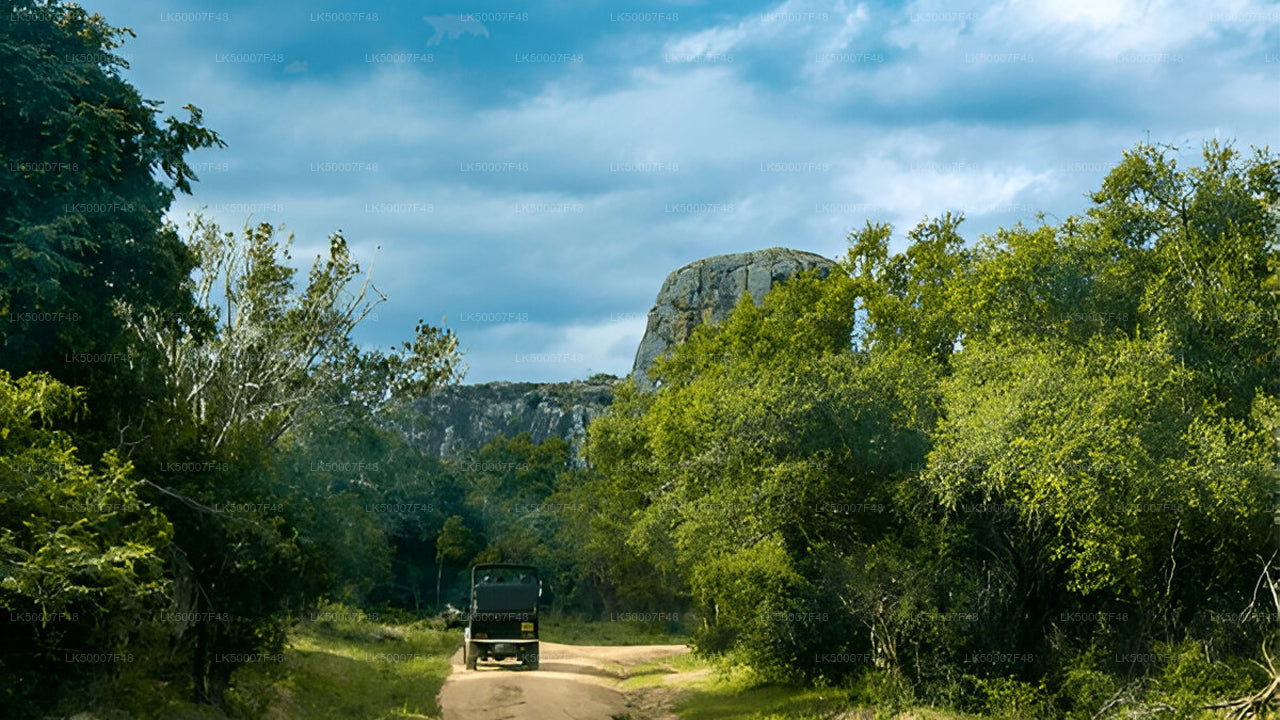 Private Tour von Mirissa nach Ella mit Yala-Safari